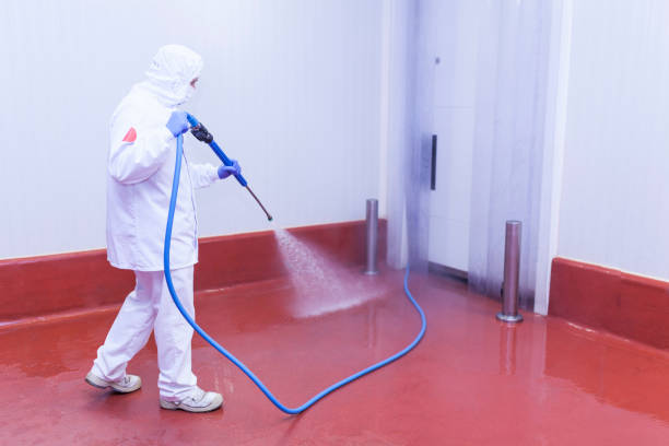 Best Graffiti Removal  in Cornell, WI