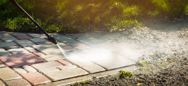 Best Animal Enclosure Cleaning  in Cornell, WI